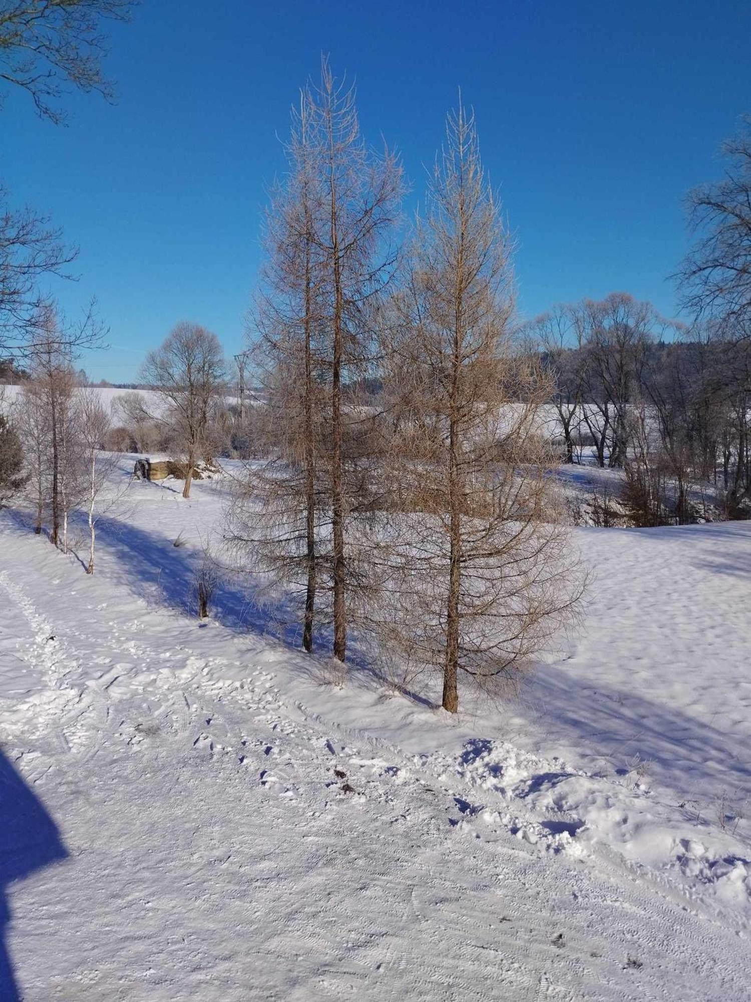 Apartament Bieszczadzkie Brzegi Ustrzyki Dolne Zewnętrze zdjęcie